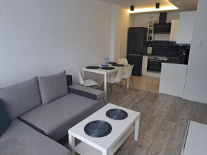 Apartament Miejski